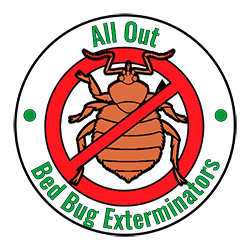 All Out Exterminating Bed Bug Exterminators Manhattan